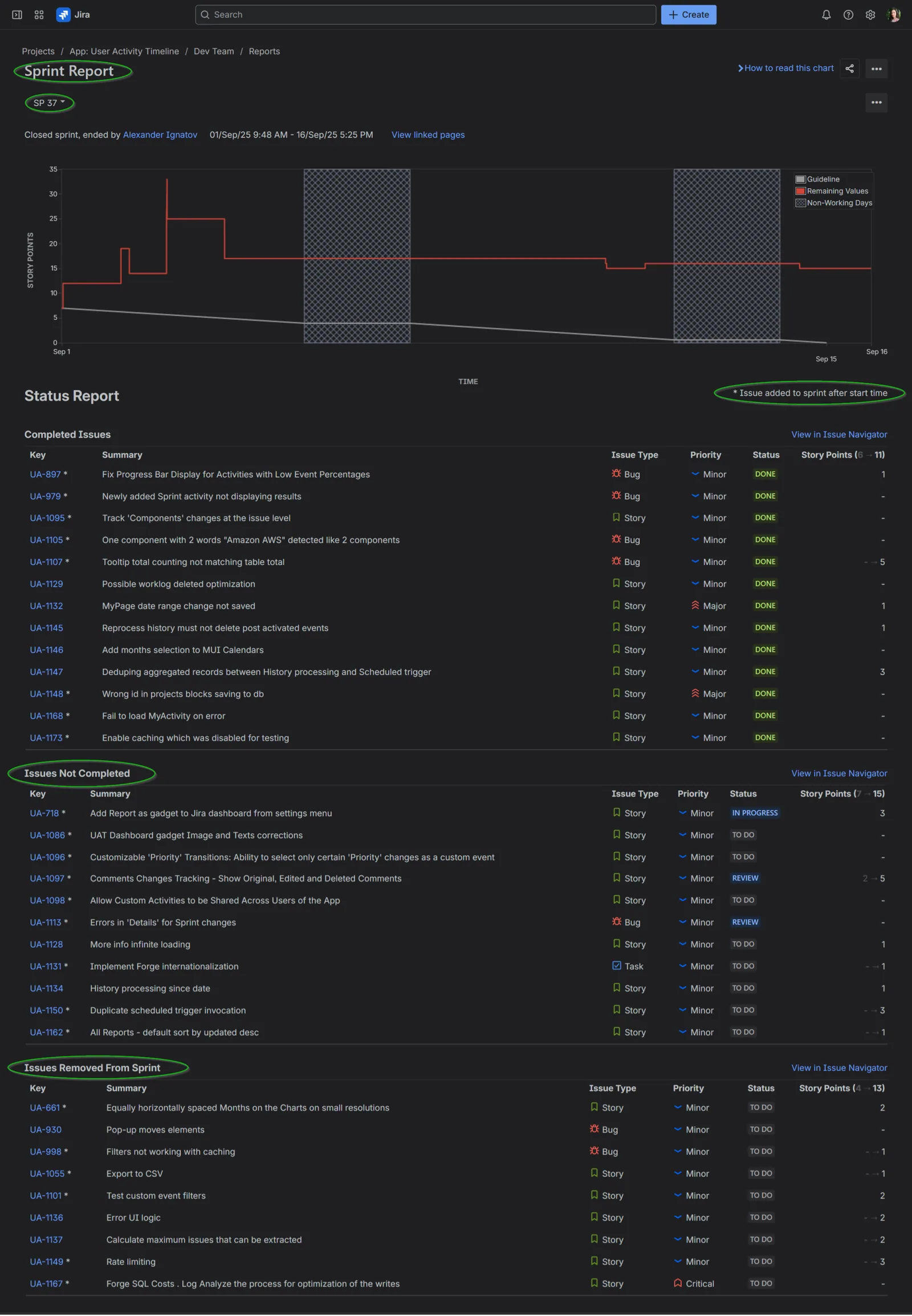 Jira Sprint report