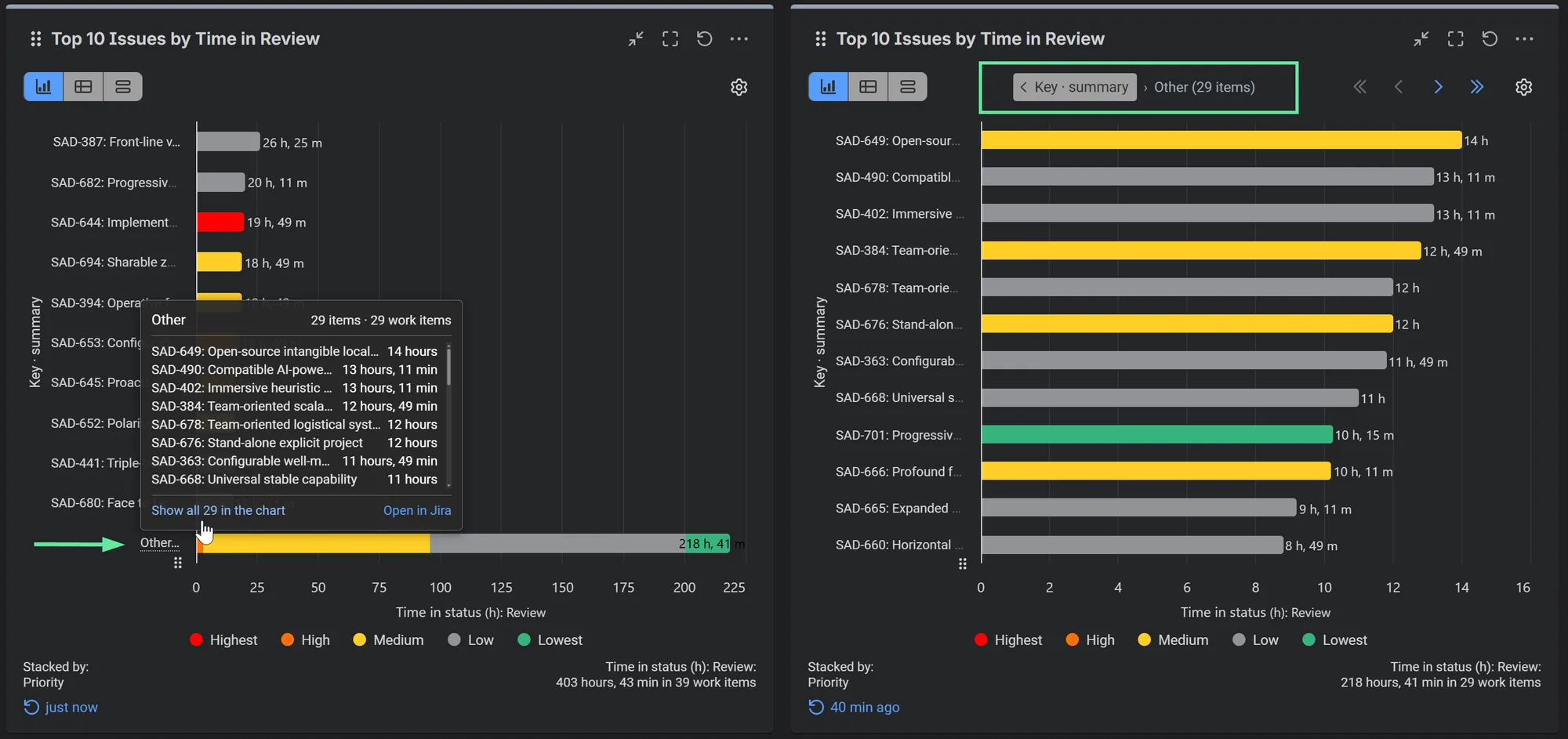 Left: the Other breakdown listing the 29 grouped issues with their Time in Review. Right: the same issues shown as their own chart